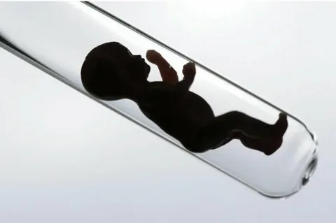 Test tube baby